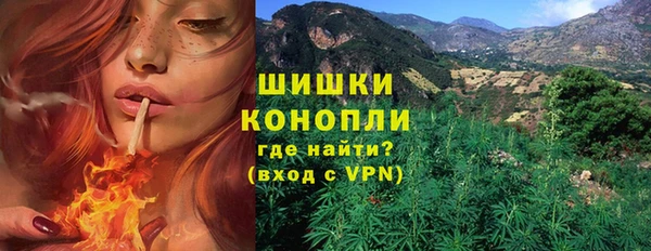 ешки Алзамай
