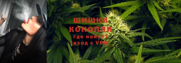ГАЛЛЮЦИНОГЕННЫЕ ГРИБЫ Ростов